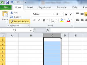 Excel Format Paint Columns